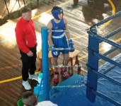 Медали разъехались по всему краю