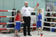 Краевой турнир по боксу памяти И.Д. Петрука