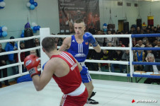 Открытый чемпионат города Владивостока по боксу