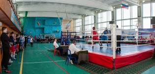 Три турнира на большекаменском ринге