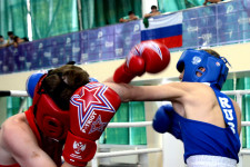 День бокса в «Океане»